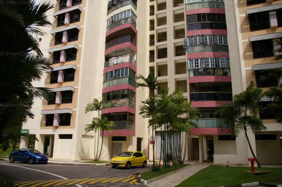 Blk 289B Bukit Batok Street 25 (Bukit Batok), HDB Executive #333212